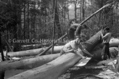 1142-Logging-Jenning44B91B 1142-Logging-Jenning44B91B