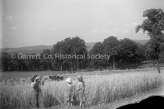 1148-Grain-Field-S44B921 1148-Grain-Field-S44B921