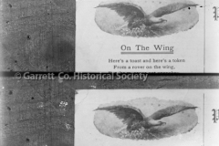 1256-Wings-106A