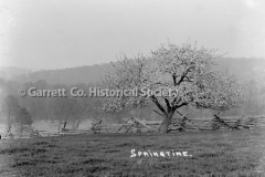 1317-_Springtime_-Tr44B9CE
