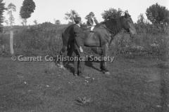 1377-Child-on-Horse-230A 1377-Child-on-Horse-230A