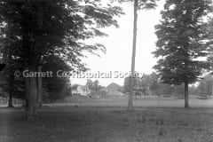 1473-Trees-Farm-327A