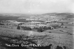 1808-The-Cove-Yellow44BBD9