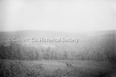 1820-Field-665A