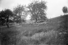 1833-Trees-Rail-Fe44BC39