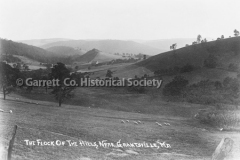 1888-Flock-of-the-Hi44BC86