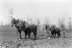 1930-Two-Horse-Teams-790A