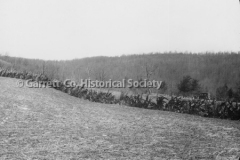 2775-Pine-Stump-Fence
