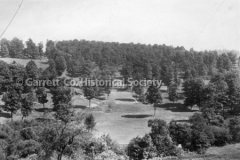 2779-Sugar-Trees-Gra44B213