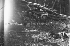 0311-Logs-and-Loggers-311