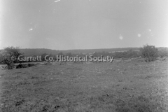 0385-Meadow-Rail-F44B420