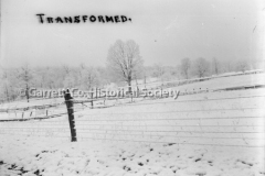 0403-_Transformed_-W44B432