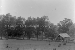 0406-House-Trees-406