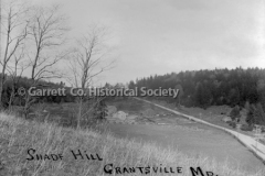 0446-Shade-Hill-446