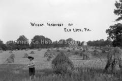 0559-Wheat-Harvest-E44B496 0559-Wheat-Harvest-E44B496